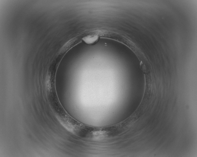 X0000078860216200611201322