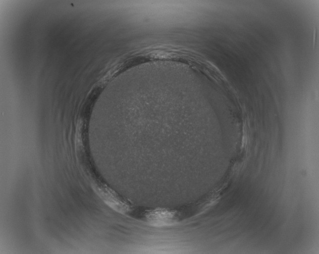 X0000078860217200611201322