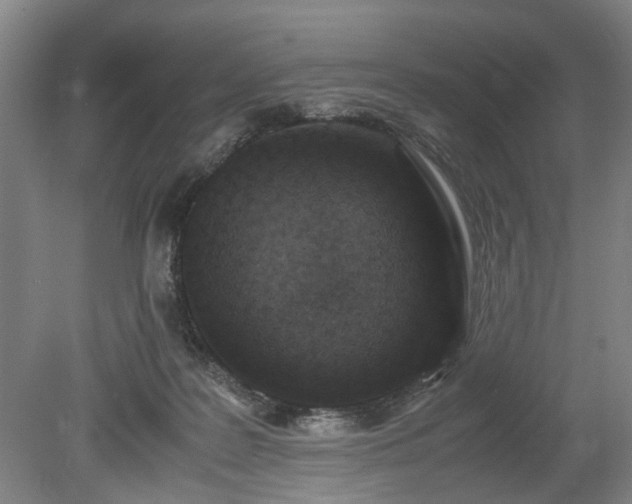 X0000078860219200611201322