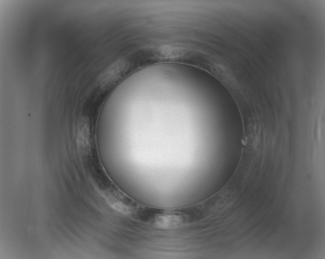 X0000078860220200611201322