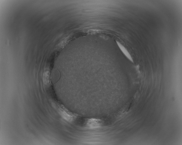 X0000078860222200611201322