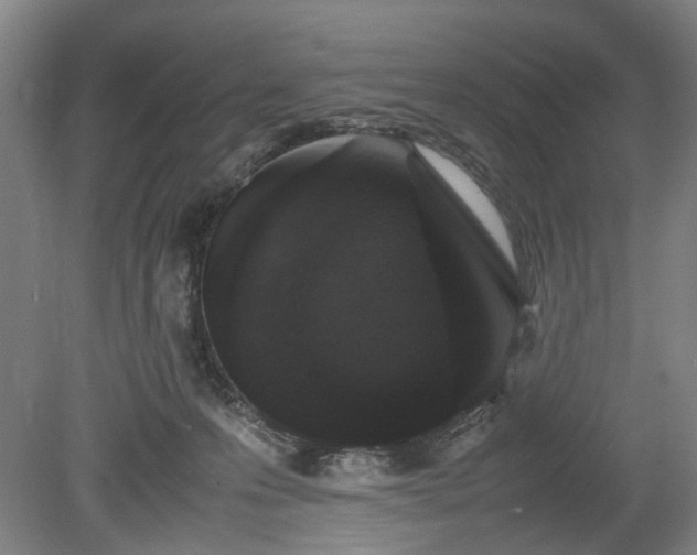 X0000078860223200611201322