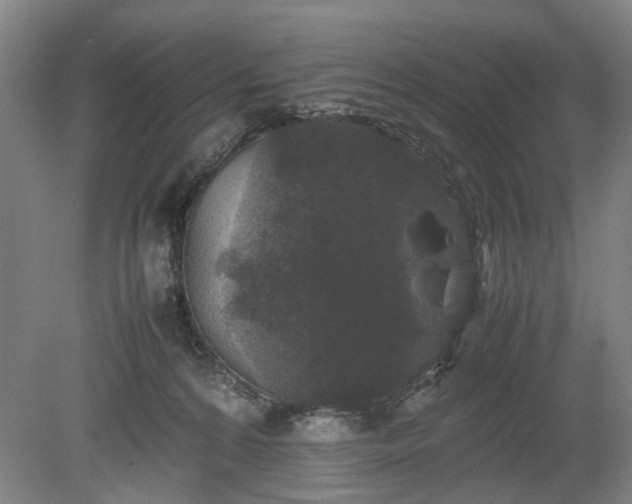 X0000078860224200611201322