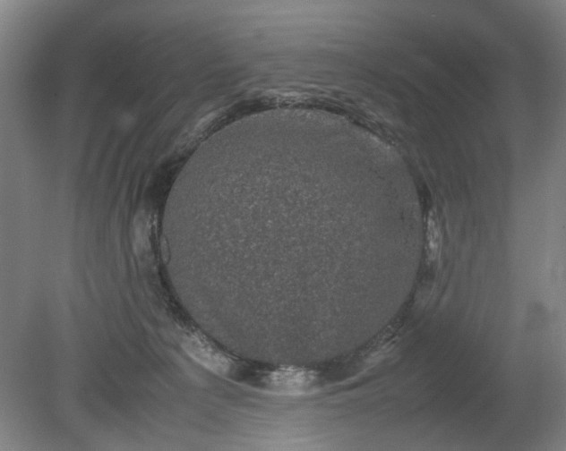 X0000078860225200611201322