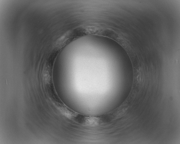 X0000078860226200611201322