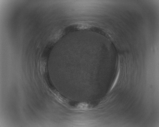 X0000078860227200611201322