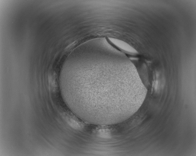 X0000078860228200611201322