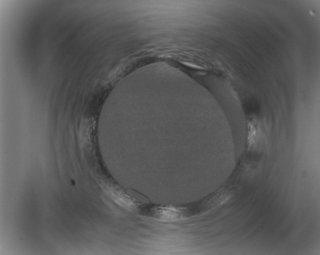 X0000078860229200611201322