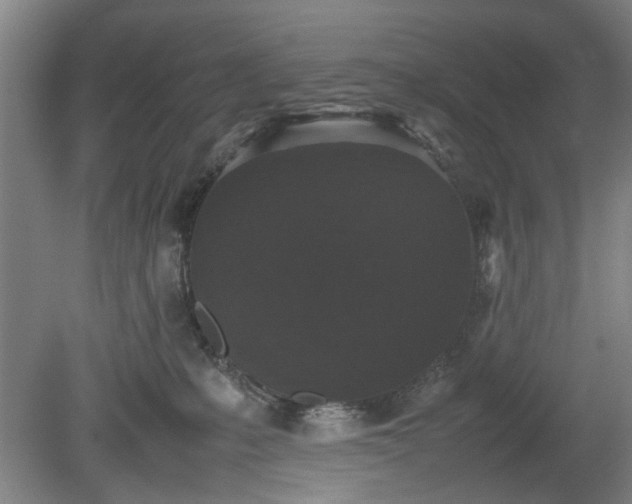 X0000078860231200611201321