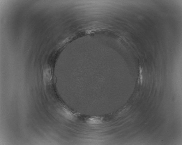 X0000078860232200611201321