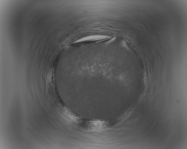 X0000078860233200611201321