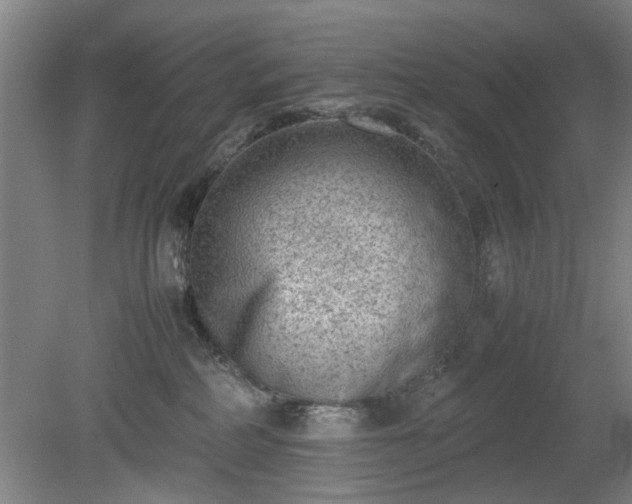 X0000078860234200611201321