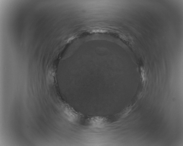 X0000078860235200611201321