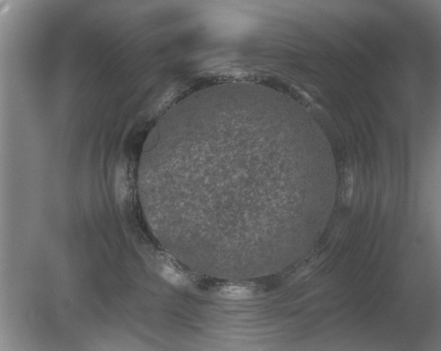 X0000078860236200611201321