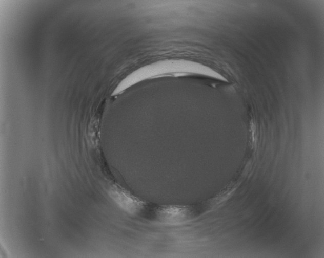 X0000078860237200611201321