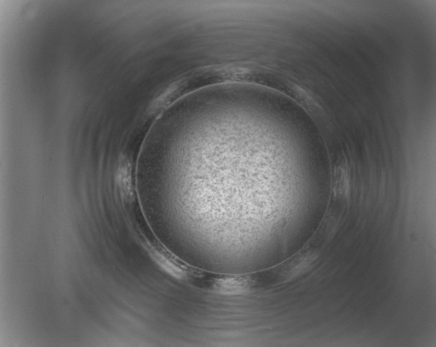 X0000078860238200611201321