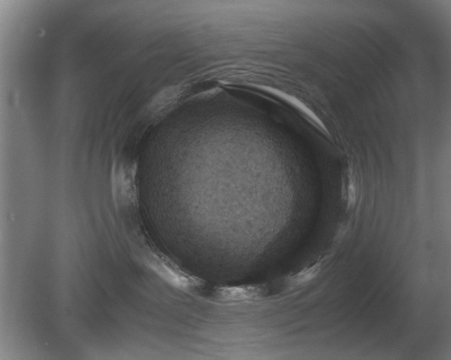 X0000078860239200611201321