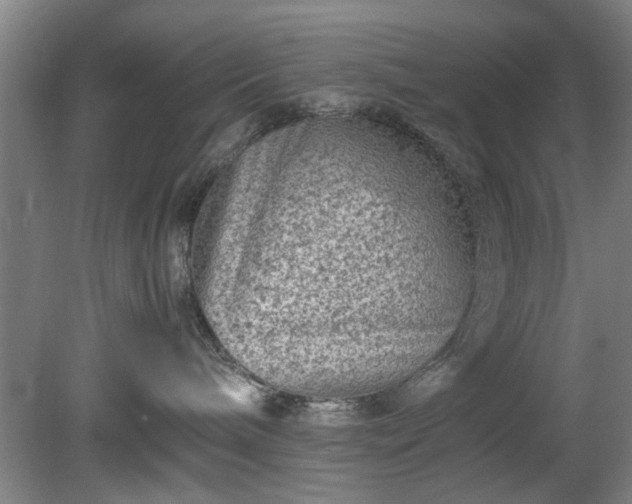 X0000078860240200611201321