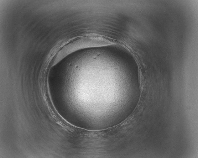 X0000078860241200611201321