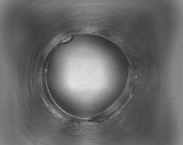 X0000078860242200611201321