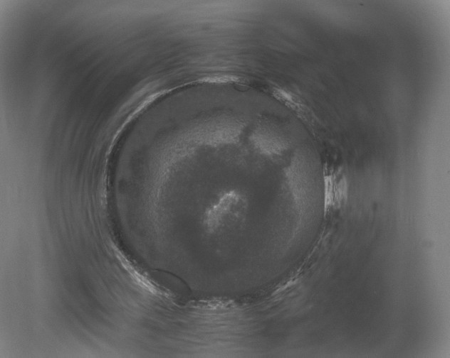 X0000078860243200611201321