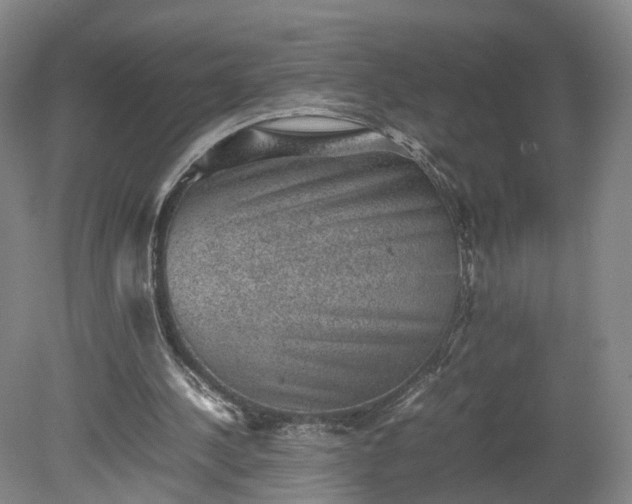 X0000078860244200611201321