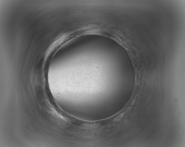 X0000078860245200611201321