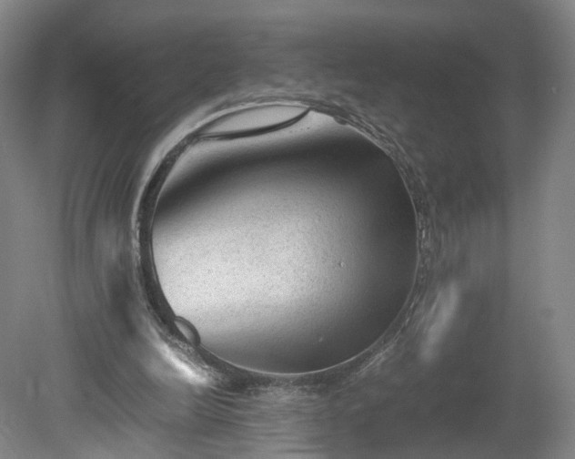 X0000078860246200611201321