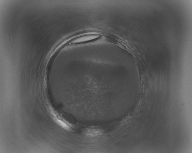 X0000078860247200611201321