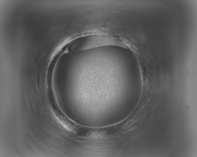 X0000078860248200611201321