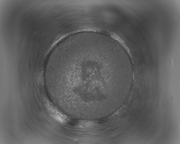 X0000078860249200611201321