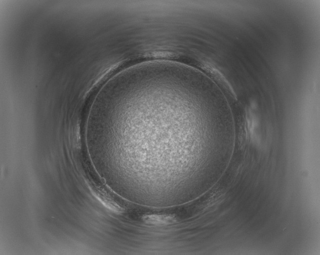 X0000078860251200611201321