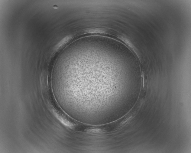 X0000078860253200611201321