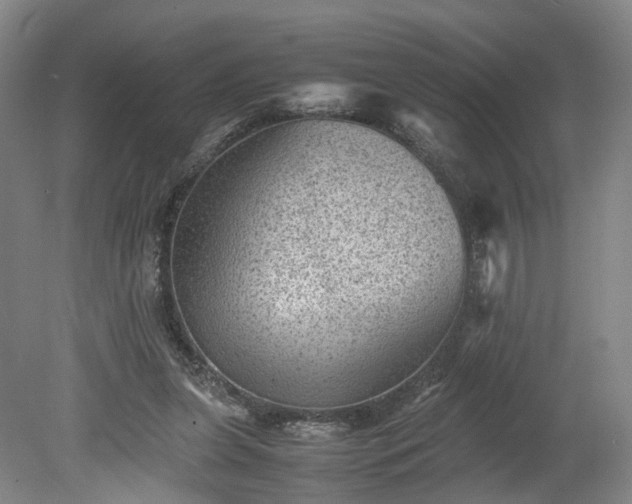 X0000078860255200611201321