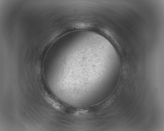 X0000078860257200611201321