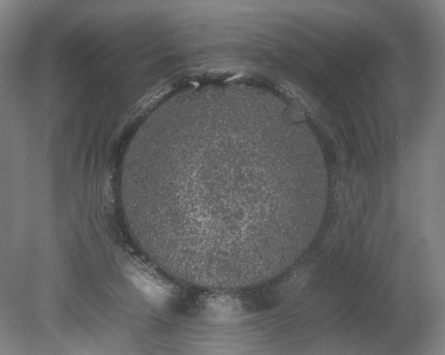 X0000078860258200611201321