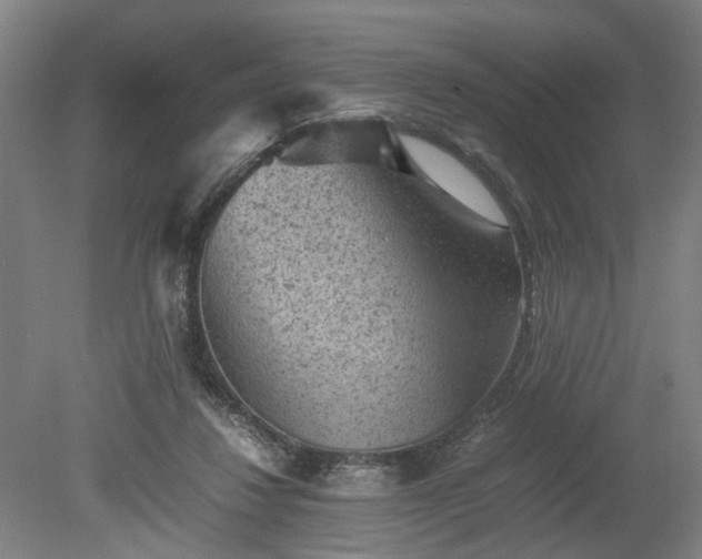 X0000078860260200611201321