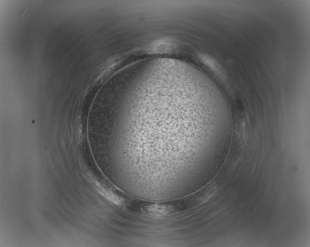 X0000078860261200611201321