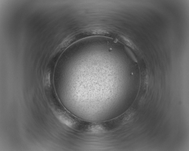 X0000078860262200611201321