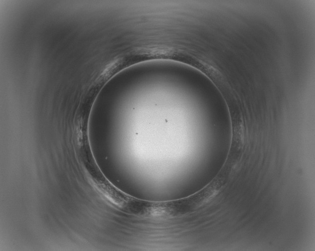 X0000078860264200611201321