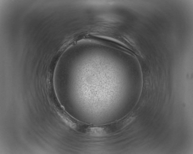 X0000078860265200611201321