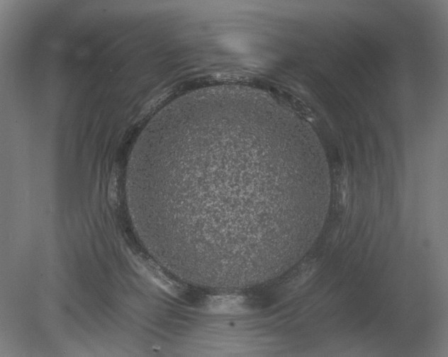 X0000078860266200611201321