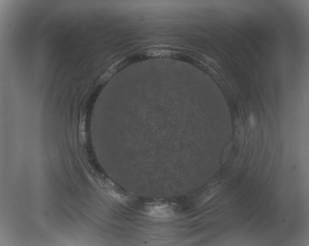 X0000078860267200611201321