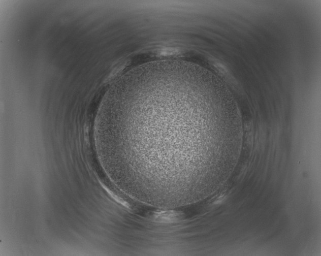 X0000078860269200611201321