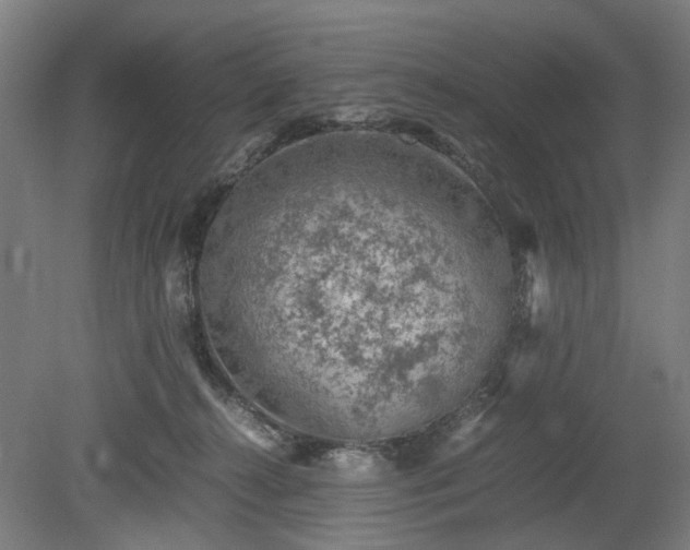 X0000078860272200611201321