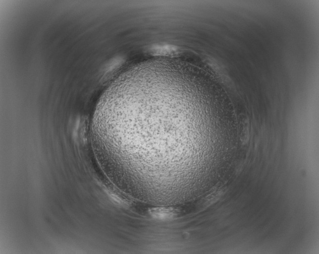 X0000078860273200611201321