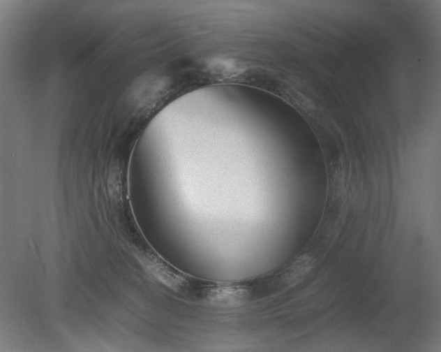 X0000078860274200611201321