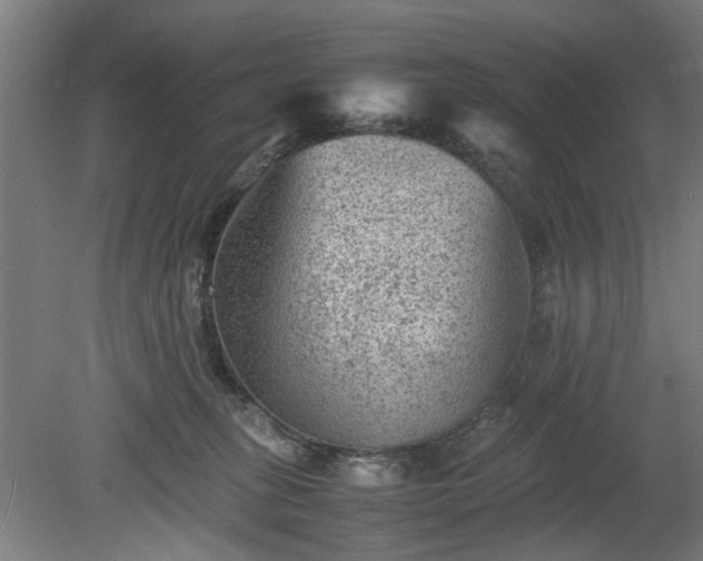 X0000078860275200611201321