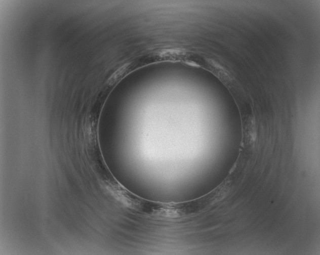 X0000078860276200611201321