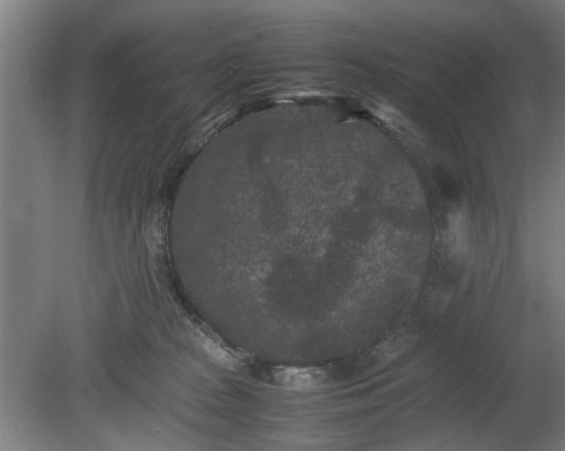 X0000078860277200611201321